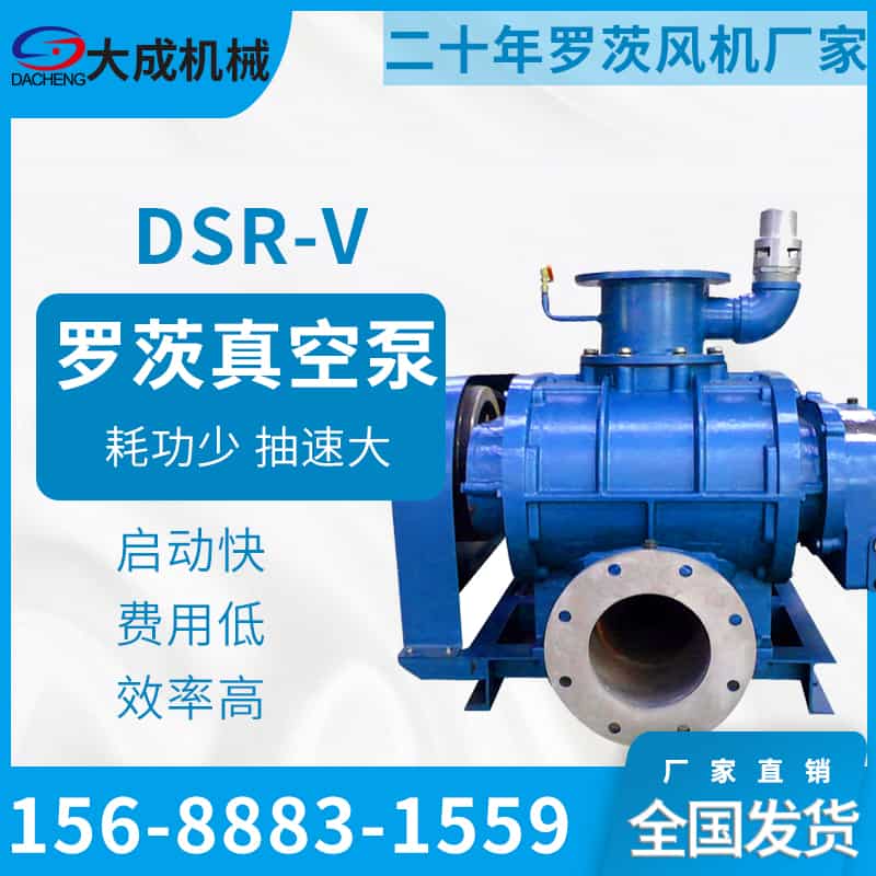 羅茨真空泵